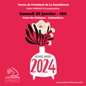 VOEUX DOMITIENNE VOEUX DOMITIENNE