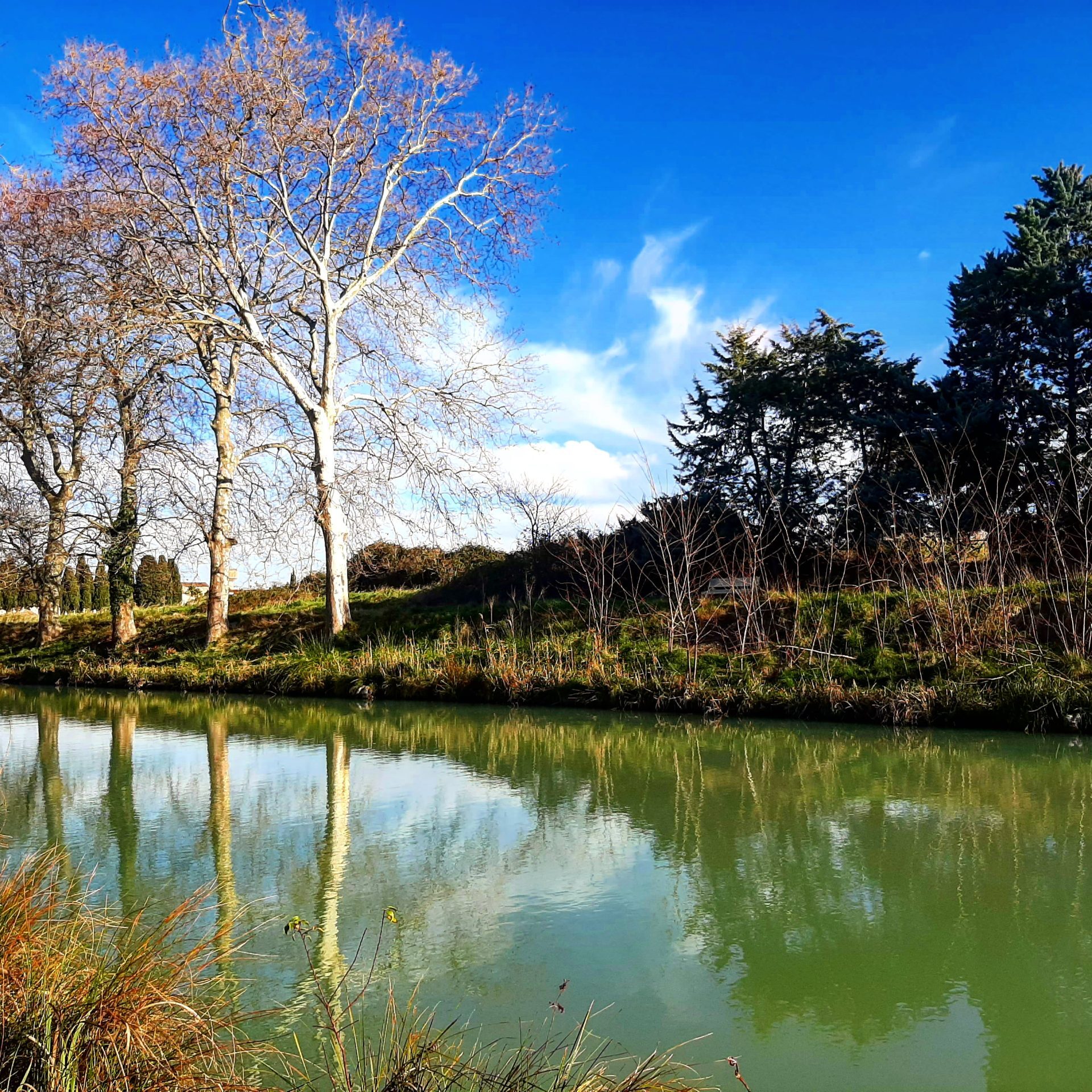 Canal