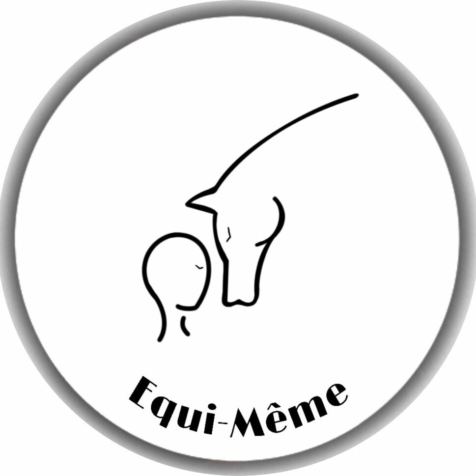Logo Equi Meme