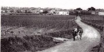 ancienne route de Narbonne