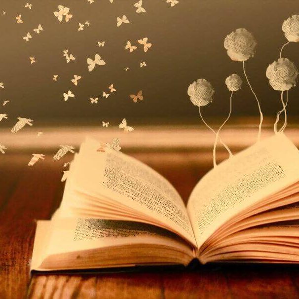 Livre Ouvert Livre Ouvert