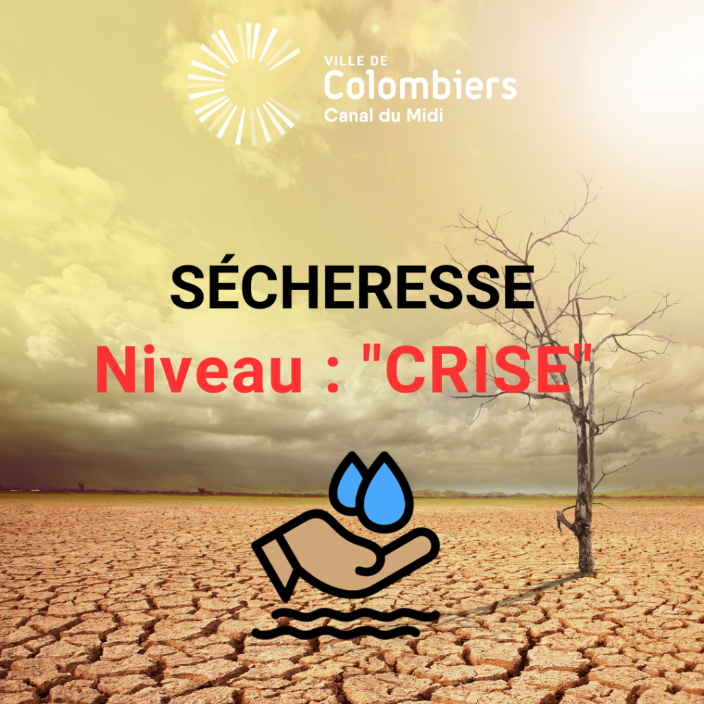 SEÌCHERESSE SEÌCHERESSE