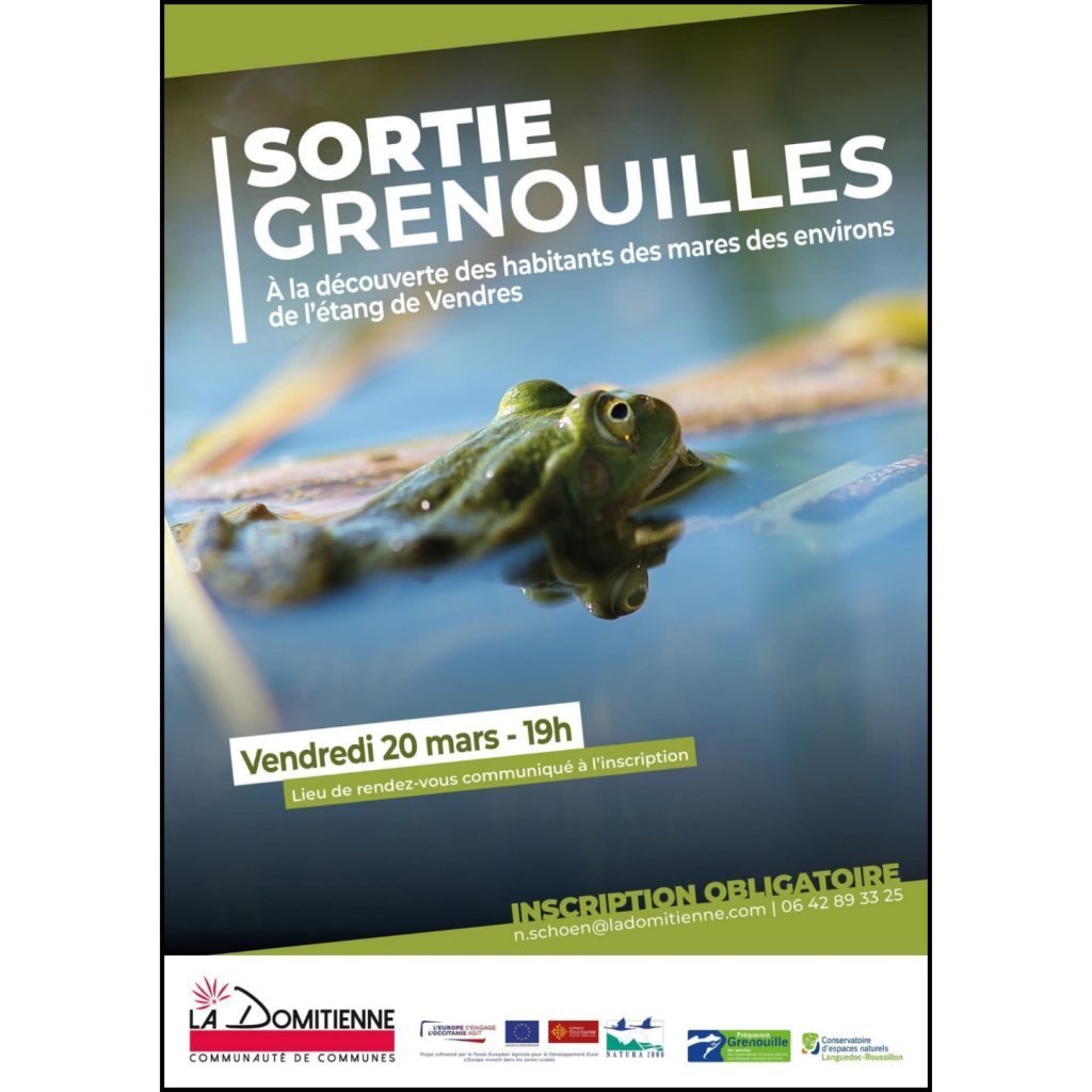 quicksquarenew_20263219941907